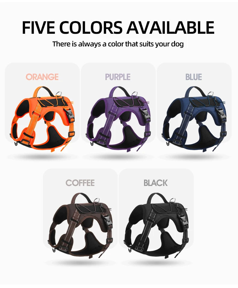 Harnais Multifonction en Nylon pour Chien - Toutes Tailles