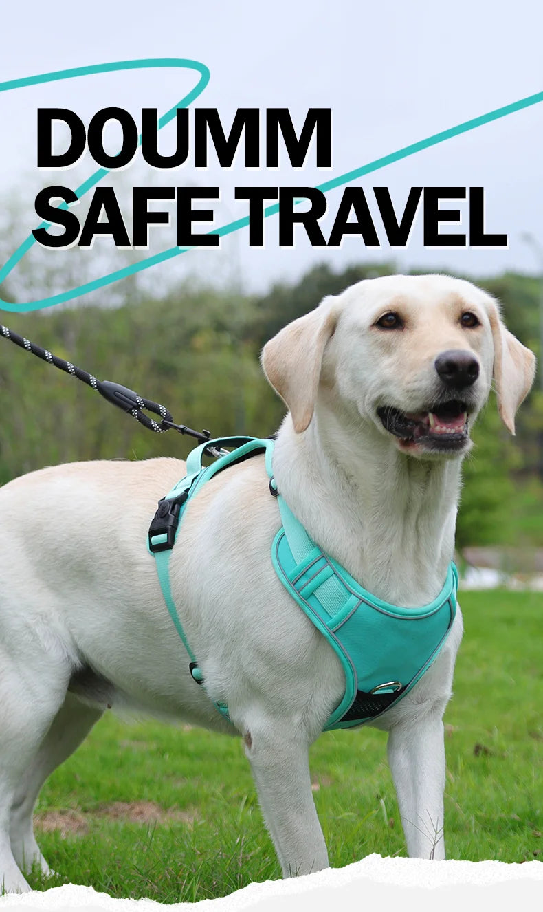 Harnais Gilet Oxford pour Chien Moyen/Grand - Poignée Réfléchissante