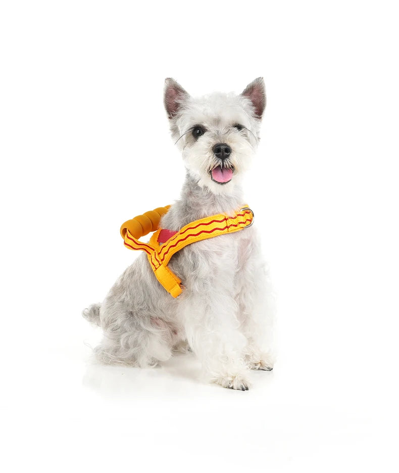 Harnais à Enfiler Rembourré pour Petit Chien - Poignée Douce