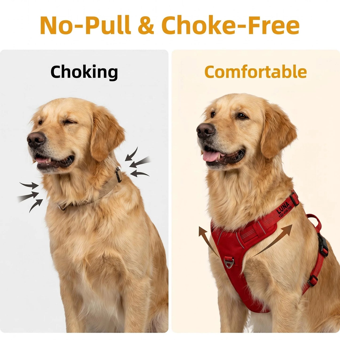 Harnais Personnalisé 360° pour Grand Chien - Brodé, Réfléchissant