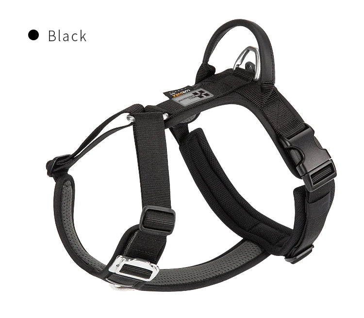 Ensemble Harnais et Laisse Anti-Traction pour Grand Chien