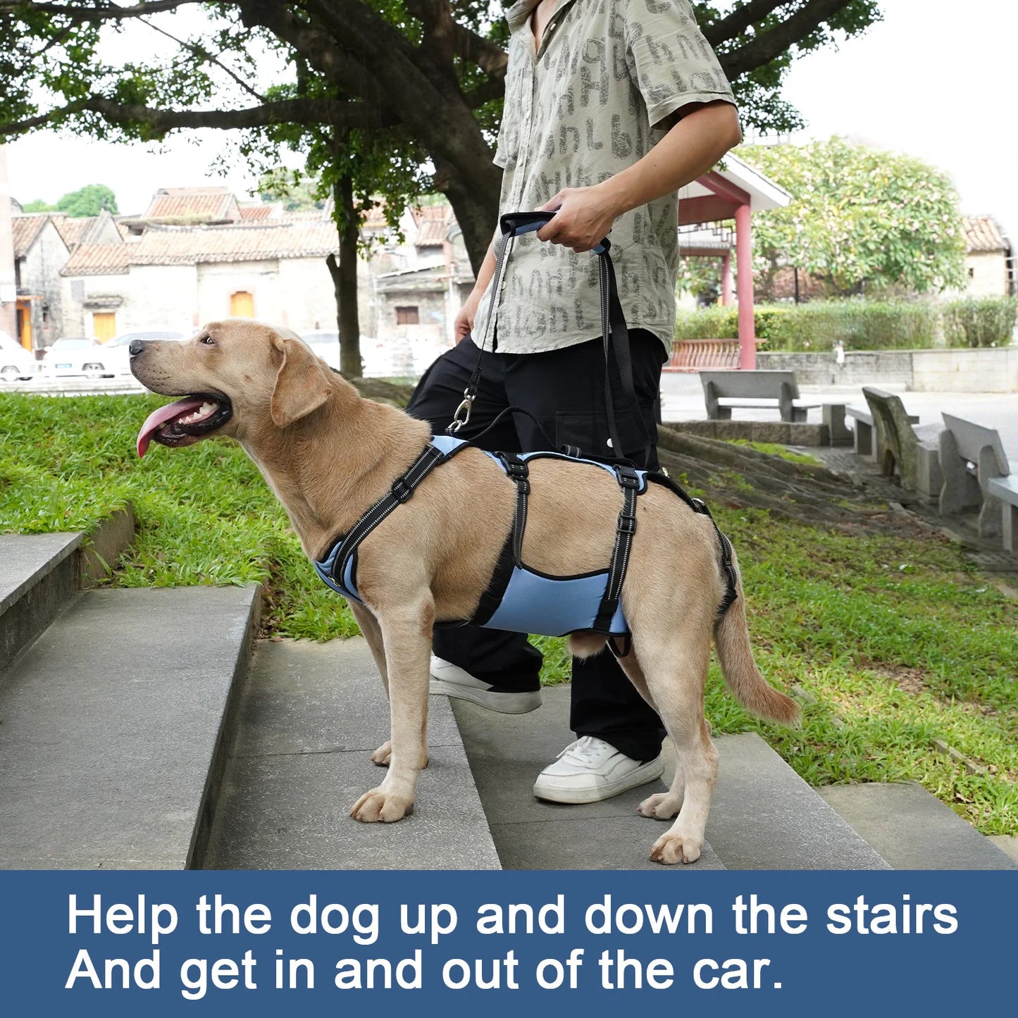 Harnais de Levage COODEO pour Chien - Rééducation, Sangles Réglables