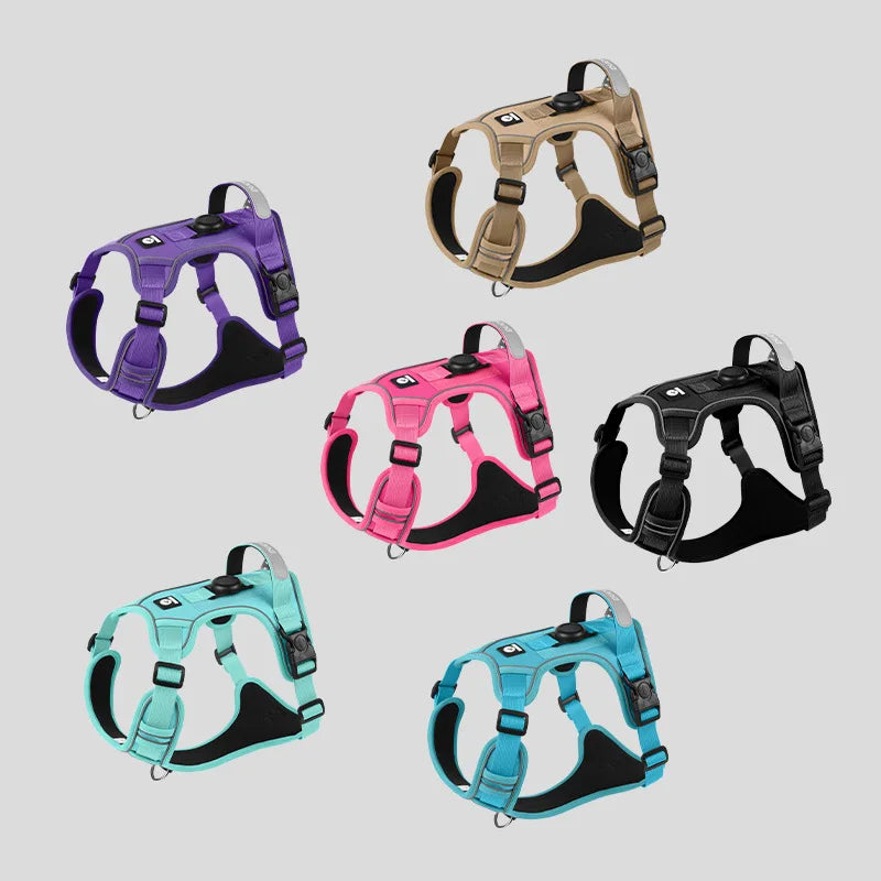 Harnais Compatible AirTag pour Petit Chien - Anti-Perte