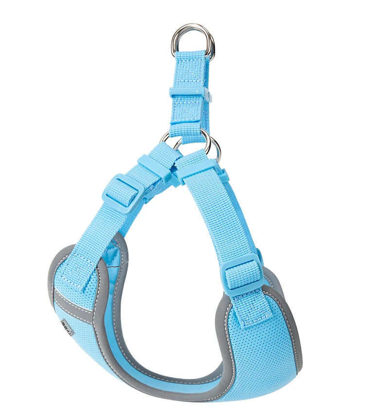 Ensemble Harnais et Laisse Réglable pour Chat et Petit Chien