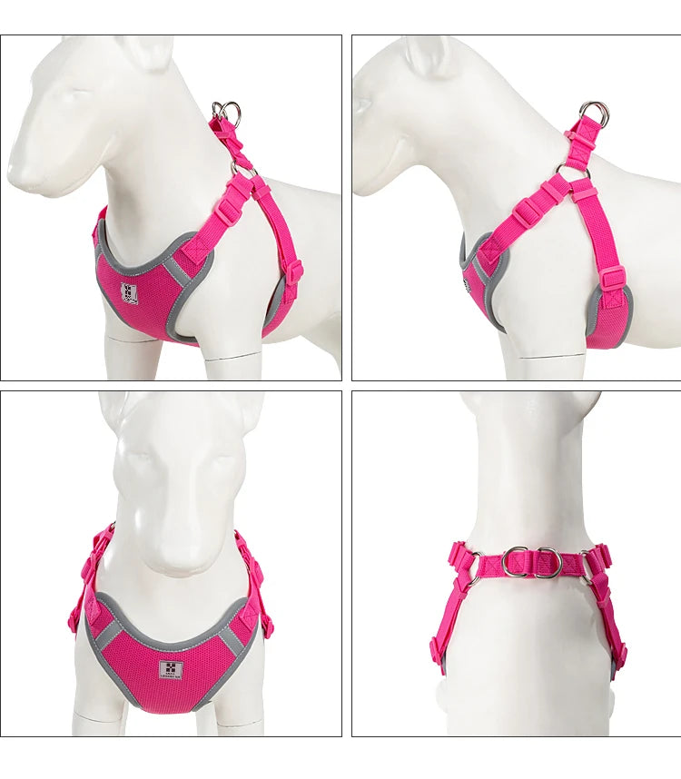 Ensemble Harnais et Laisse Réglable pour Chat et Petit Chien