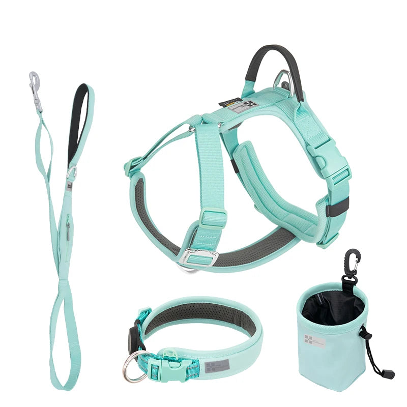 Ensemble Harnais et Laisse Anti-Traction pour Grand Chien