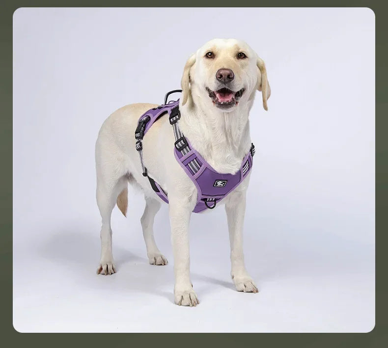 Harnais Tactique MOLLE Anti-Traction pour Grand Chien