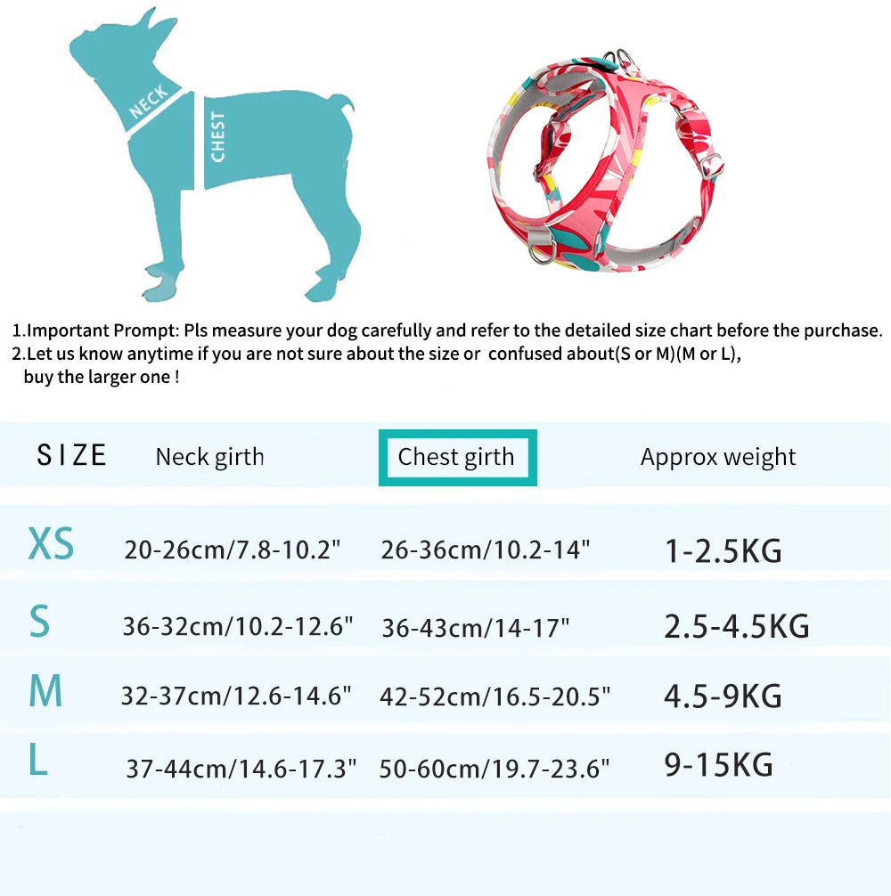 Laisse et Collier Réglables en Maille Polyester - Chien et Chat