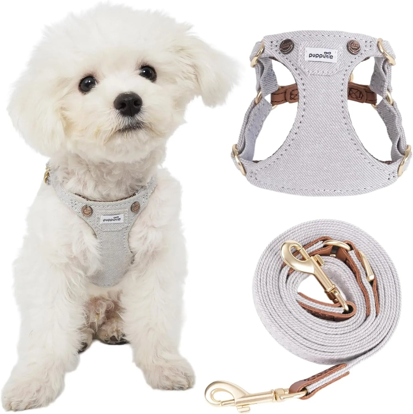 Ensemble Harnais et Laisse Doux Rembourré pour Chiot