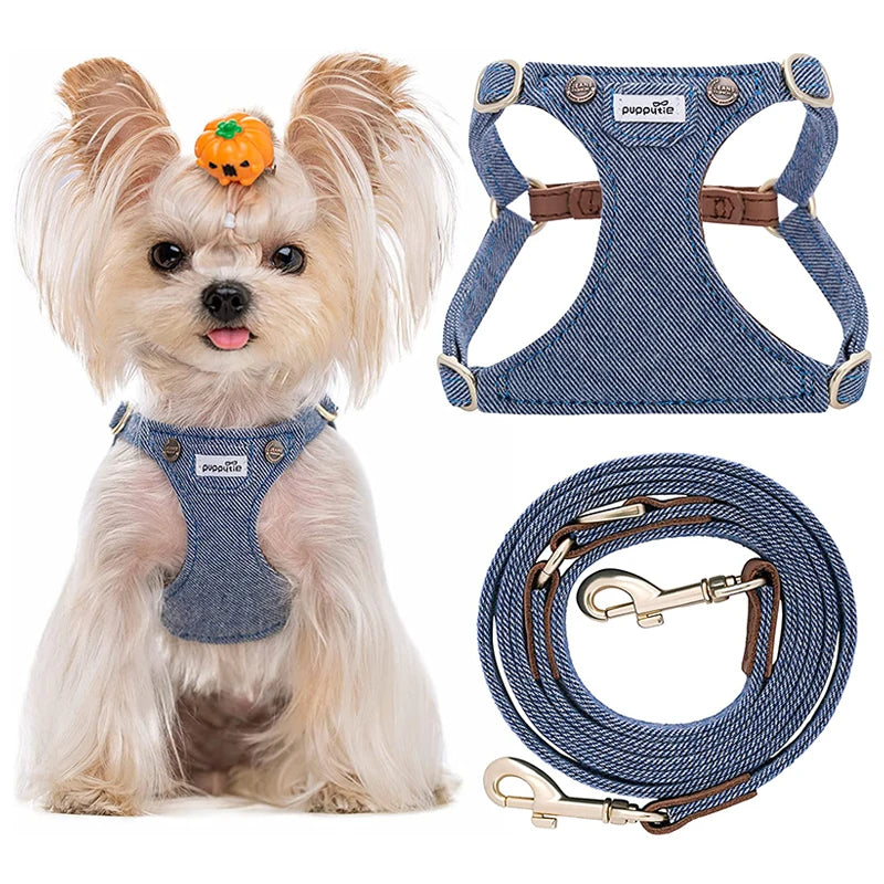 Ensemble Harnais et Laisse Doux Rembourré pour Chiot