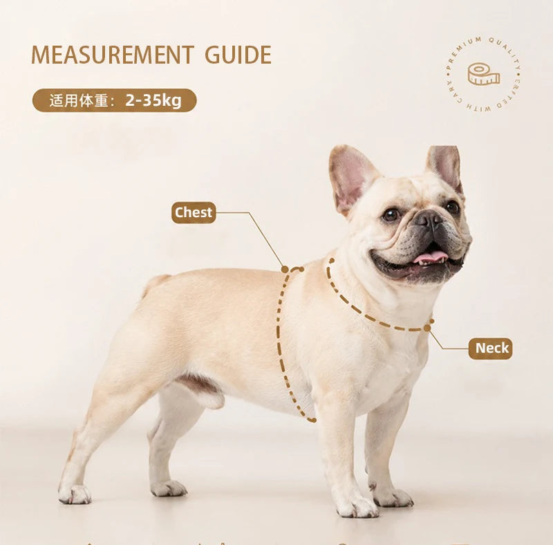 Harnais et Laisse Légers Anti-Traction pour Chien - Toutes Tailles