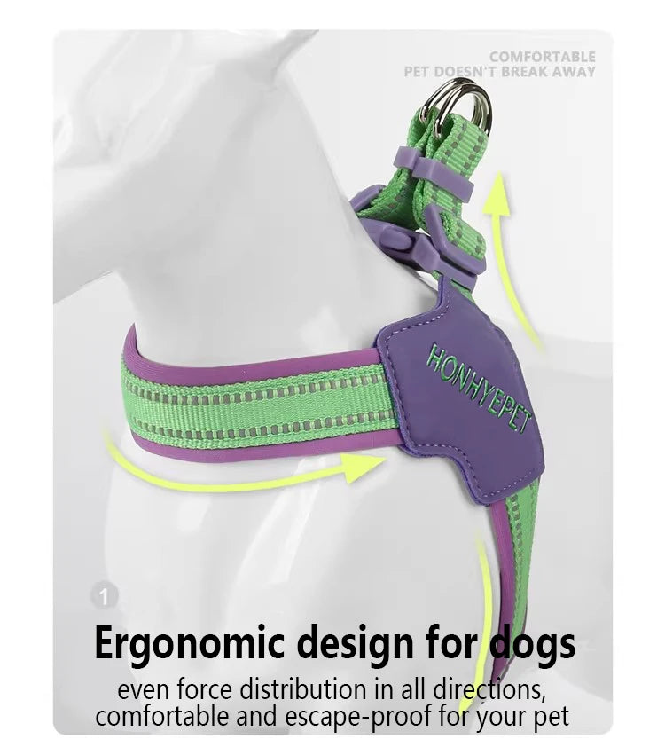 Harnais en Forme de Y Anti-Traction pour Chien - Toutes Tailles