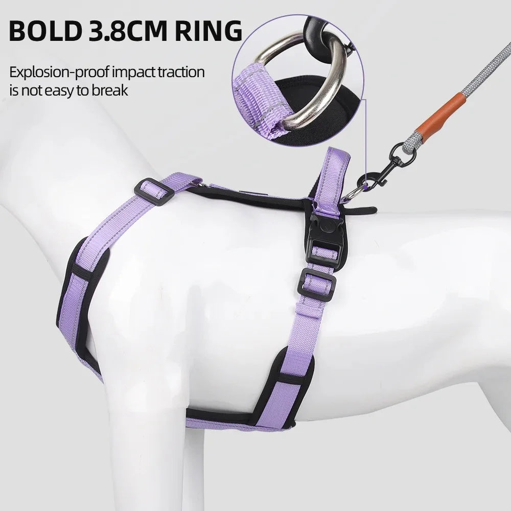 Ensemble Harnais, Laisse et Collier Classique pour Chien