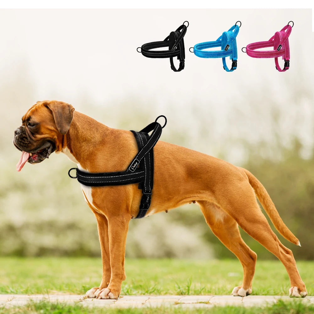 Sangle Nylon Rembourrée pour Chien - Idéal Pitbull et Bulldog