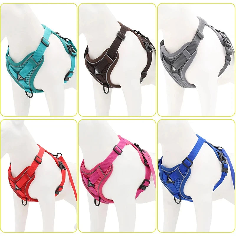 Ensemble Sans Côtes en Maille pour Petit Chien et Chat - Bouledogue Français