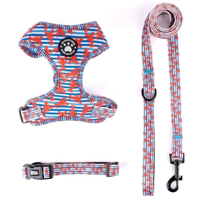 Harnais à Motifs pour Chiot - Doux et Respirant, avec Laisse