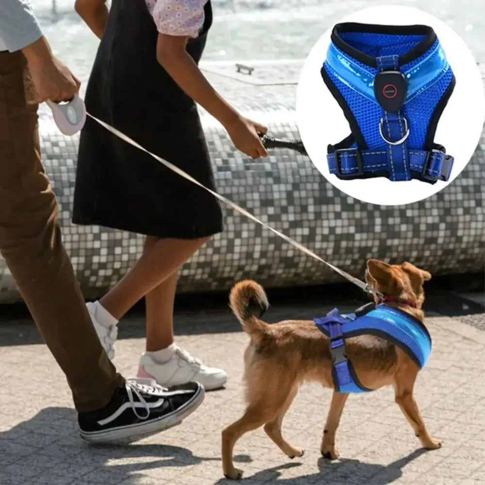 Harnais LED Lumineux Rechargeable pour Chien - Sorties Nocturnes