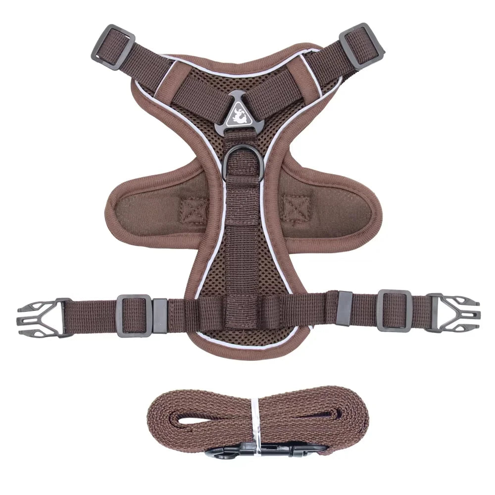 Ensemble Harnais et Laisse Anti-Traction pour Petit Chien et Chat - Réfléchissant