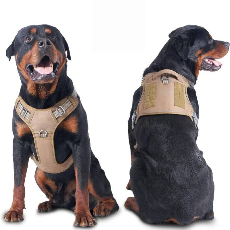 Harnais MOLLE avec Collier et Laisse pour Berger Allemand