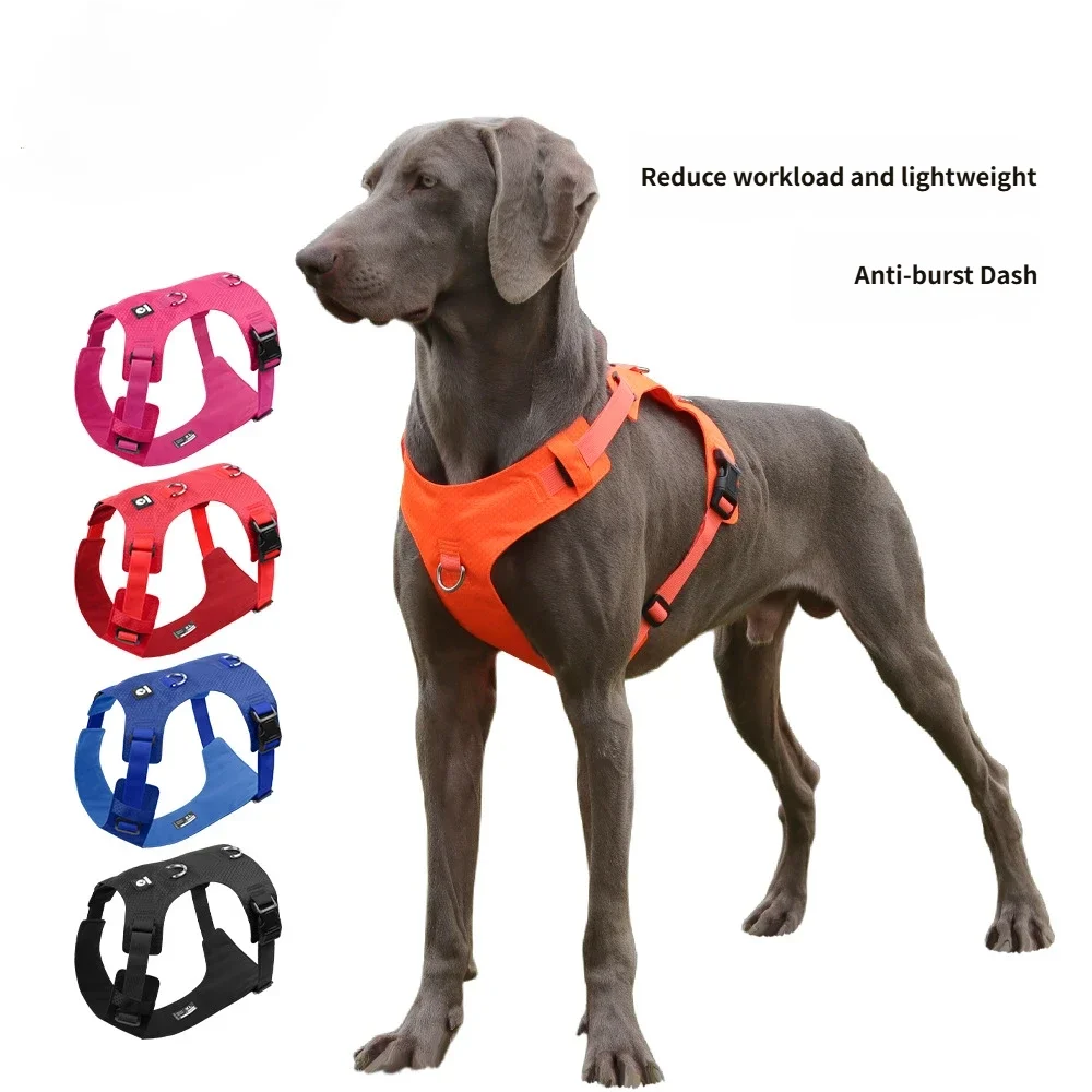 Harnais Type Veste pour Chien - Toutes Races, Résistant aux Chocs