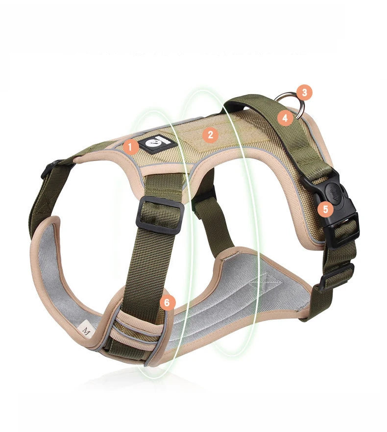 Harnais de Selle Réfléchissant pour Chien - Sans Traction, Toutes Tailles