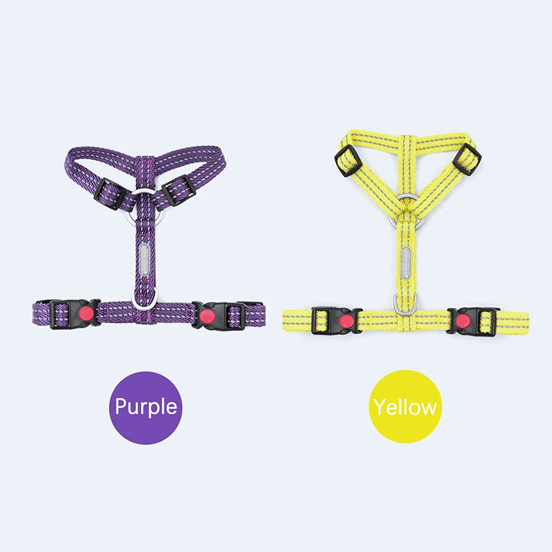 Harnais Anti-Évasion Type H pour Chien - Lavable, Réglable
