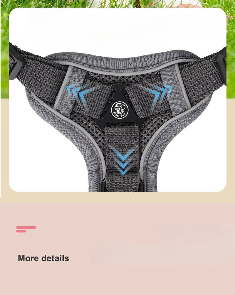Ensemble Harnais et Laisse Sans Traction pour Petit Chien et Chat