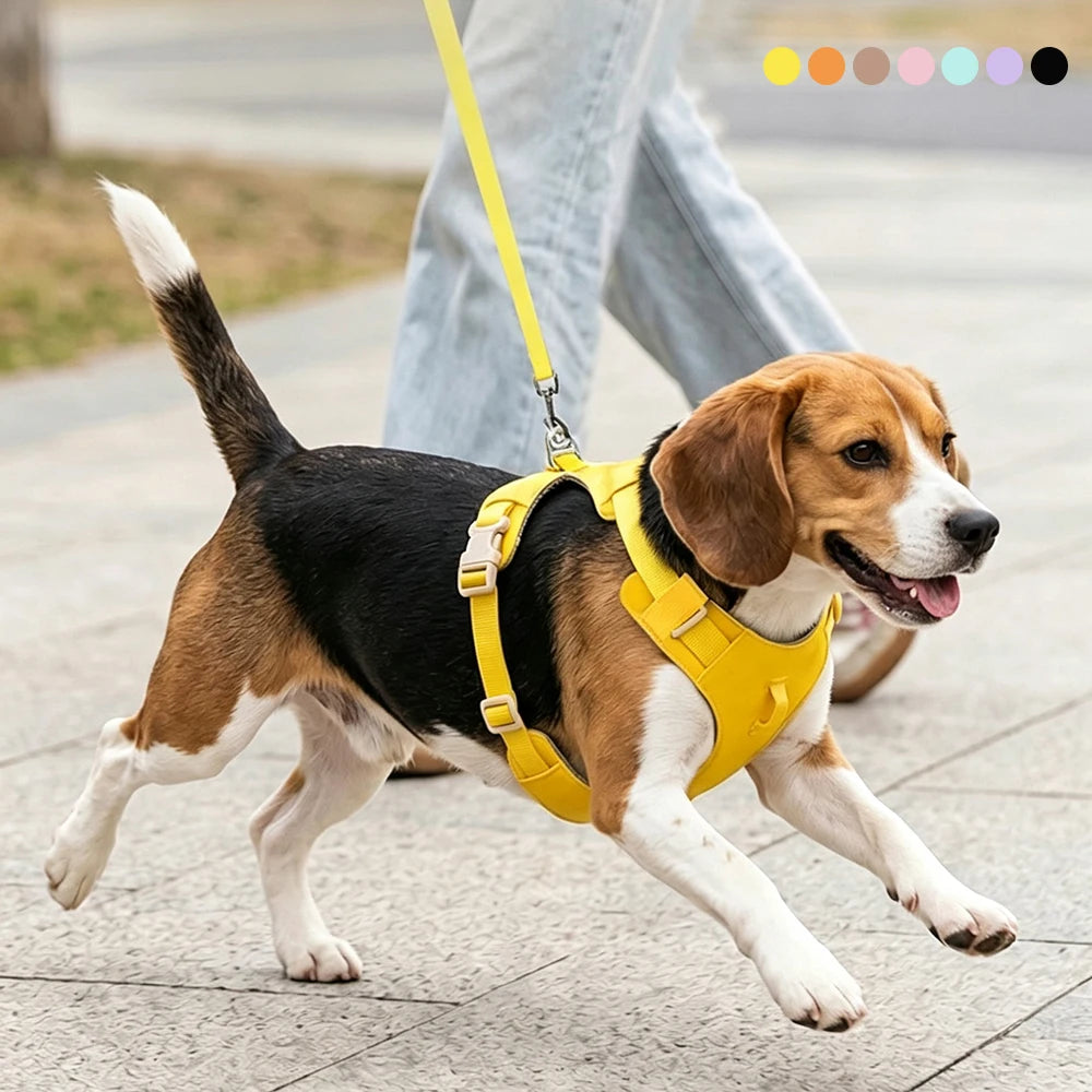 Harnais et Laisse Légers Anti-Traction pour Chien - Toutes Tailles