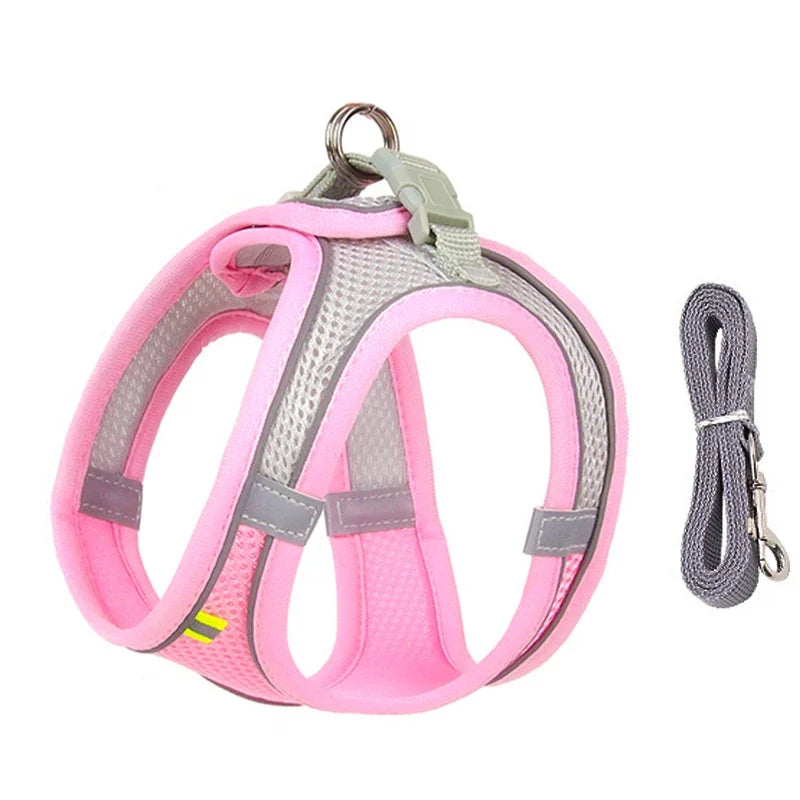 Ensemble Accessoires Réglables pour Chiots et Chats - Bouledogue, Chihuahua