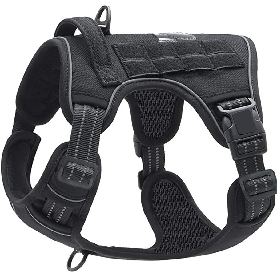 Harnais MOLLE avec Collier et Laisse pour Berger Allemand