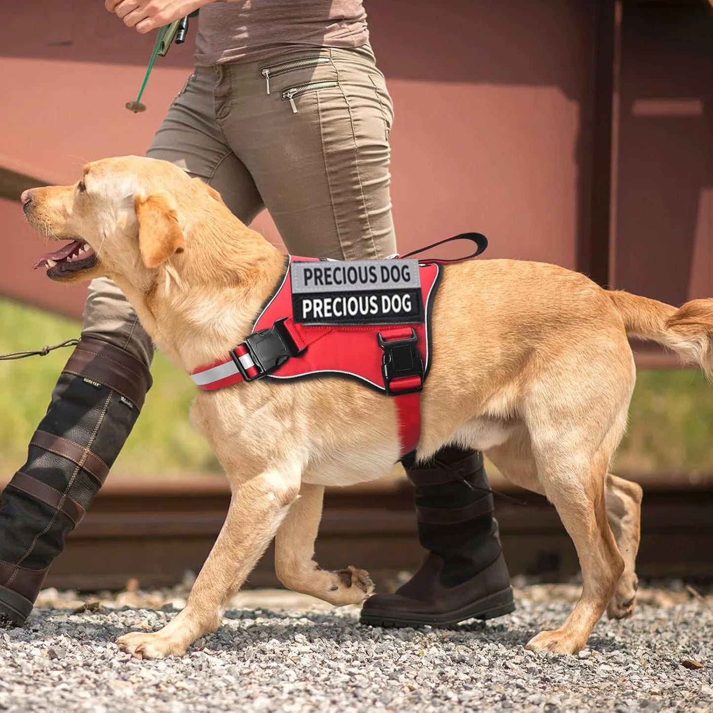 Harnais Réfléchissant Réglable pour Chien - Sans Traction
