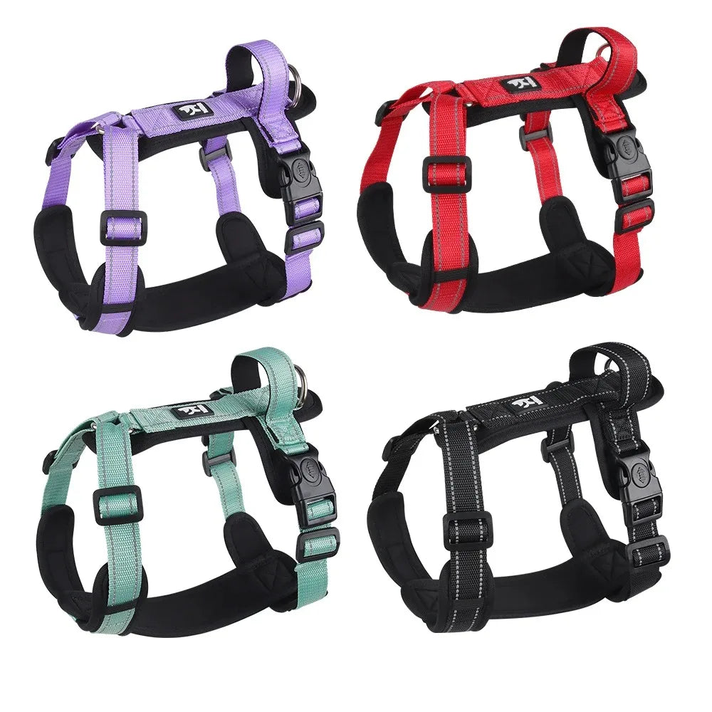 Ensemble Harnais, Laisse et Collier Classique pour Chien