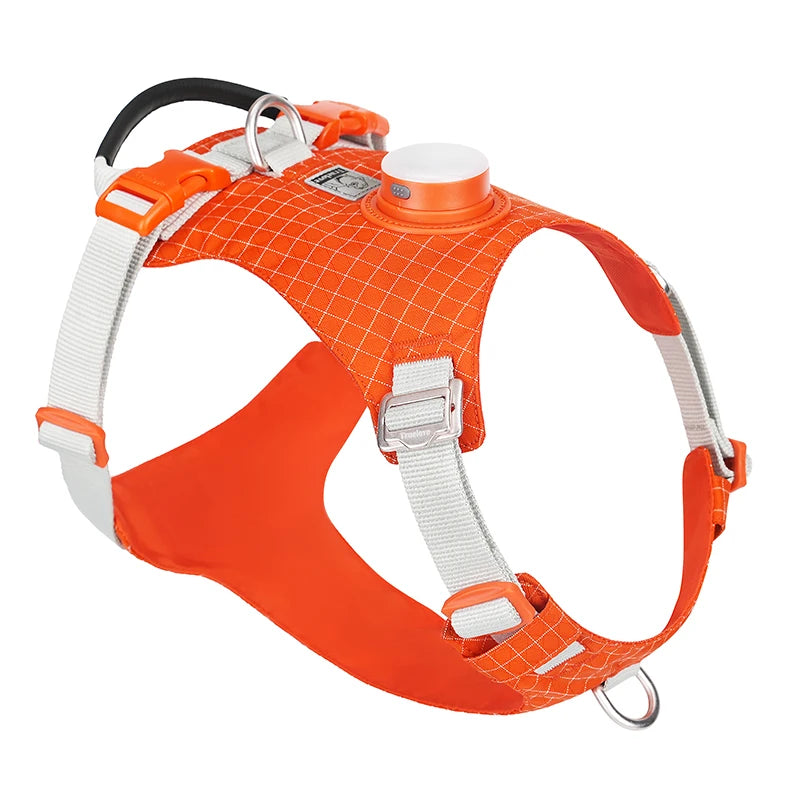 Harnais LED avec Support de Suivi - 19 Modes, Chien et Chat