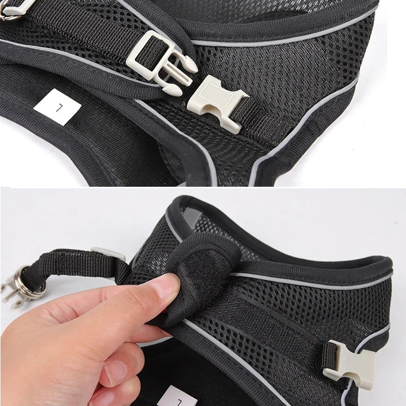 Ensemble Accessoires Réglables pour Chiots et Chats - Bouledogue, Chihuahua