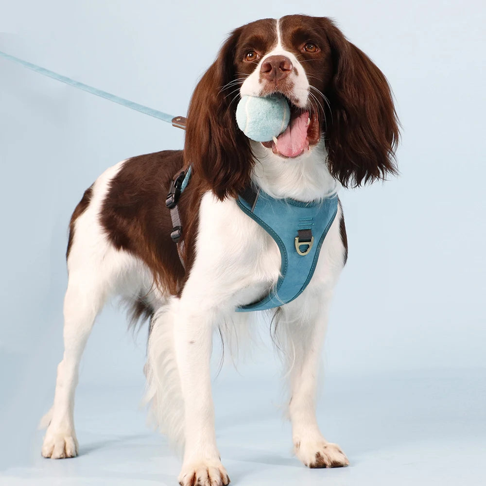 Harnais Vintage Cuir PU pour Chien - Poignée Rétro
