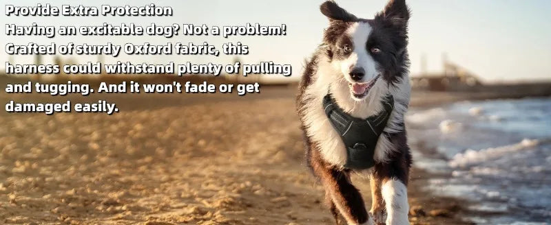 Harnais de Poitrine Antidérapant pour Chien Moyen/Grand - Style Gilet