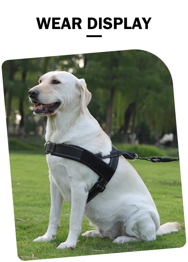 Harnais Gilet de Selle Léger et Réfléchissant pour Chien