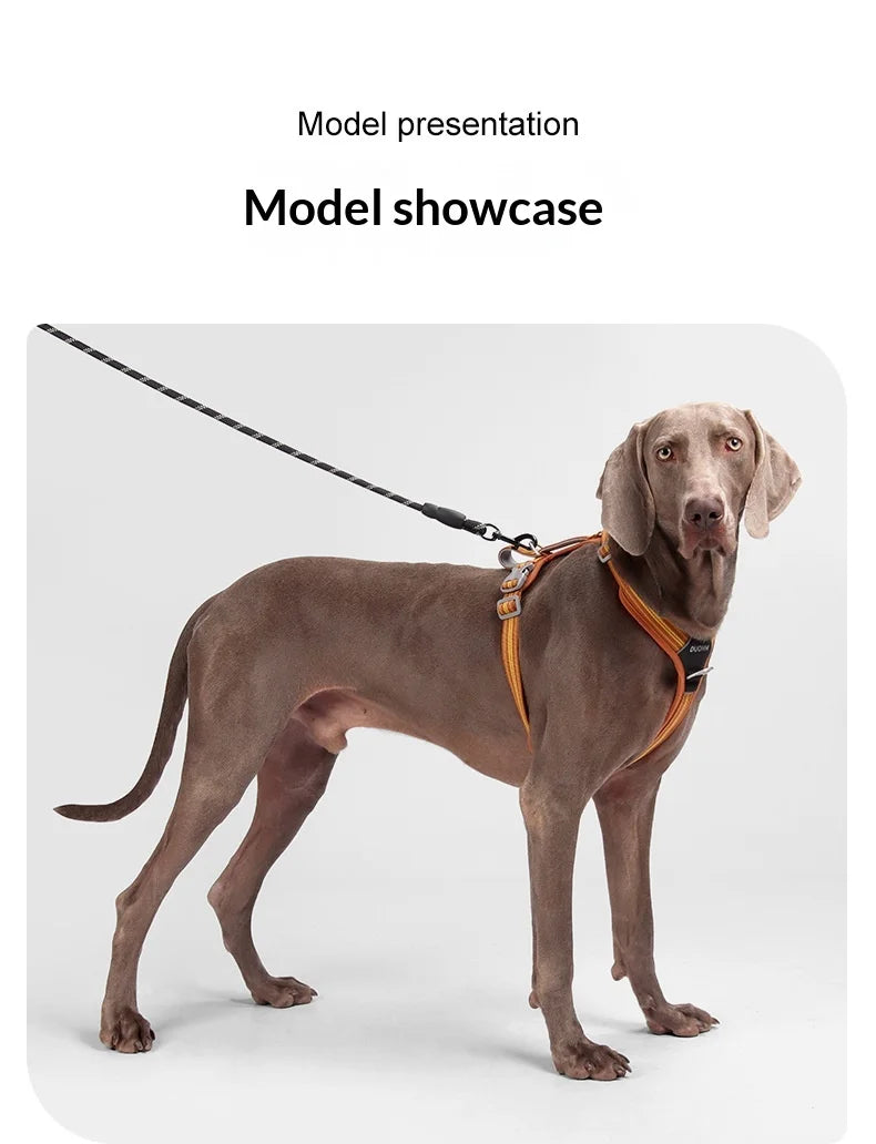 Harnais Anti-Traction Souple et Résistant pour Chien