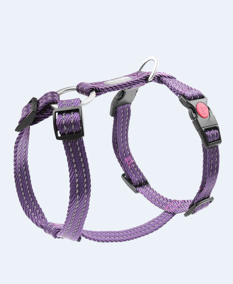 Harnais Anti-Évasion Type H pour Chien - Lavable, Réglable