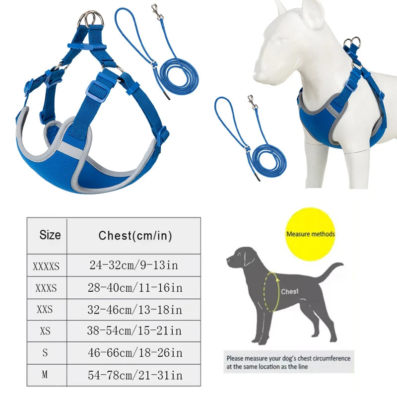 Ensemble Harnais et Laisse Réglable pour Chat et Petit Chien