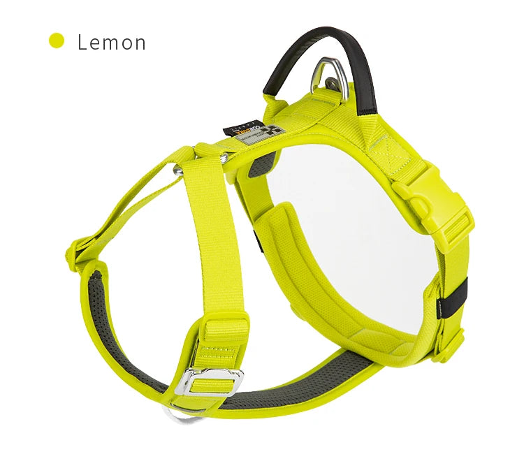 Ensemble Harnais et Laisse Anti-Traction pour Grand Chien