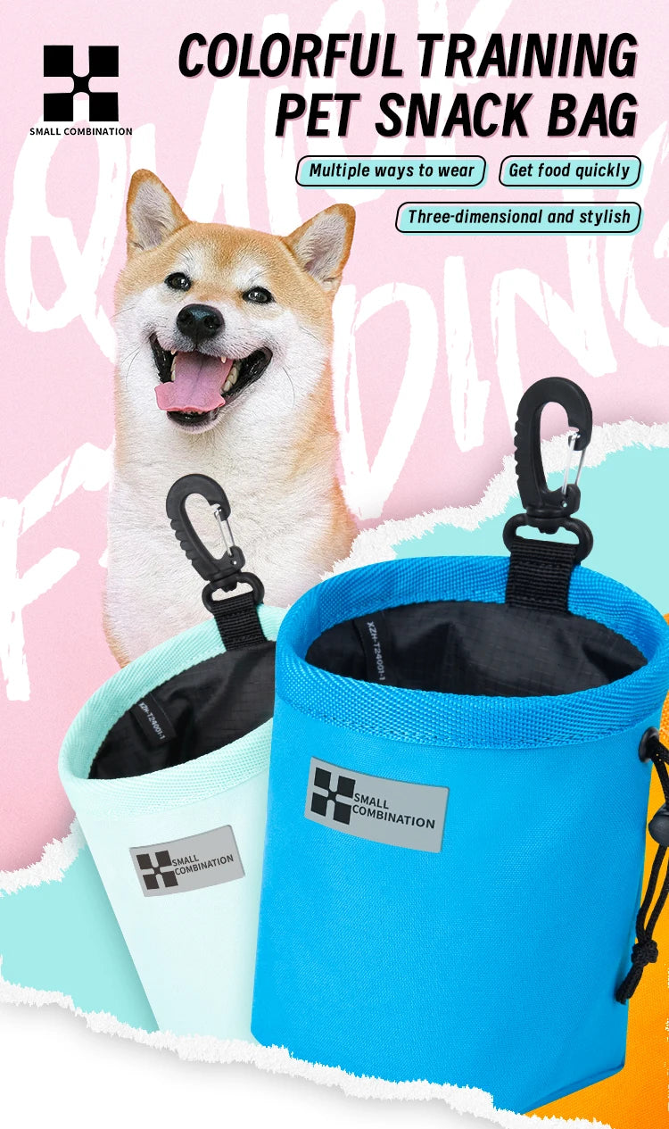 Ensemble Harnais et Laisse Anti-Traction pour Grand Chien
