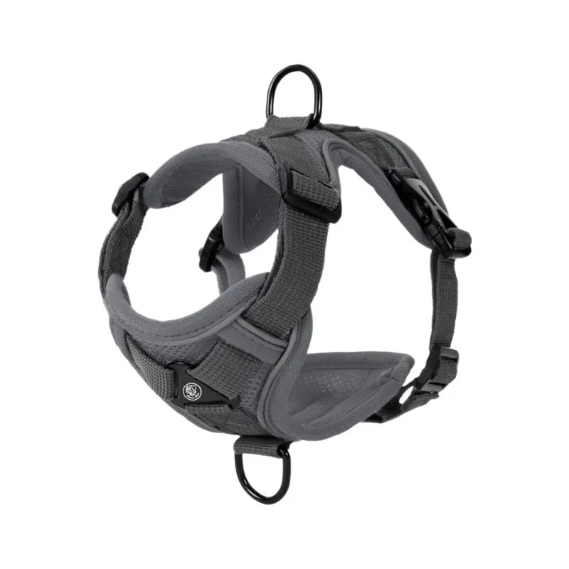 Ensemble Harnais et Laisse Sans Traction pour Petit Chien et Chat