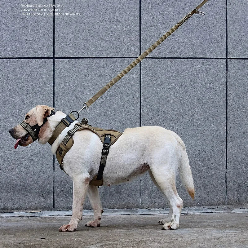 Harnais Tactique Anti-Déflagrant pour Grand Chien - avec Corde