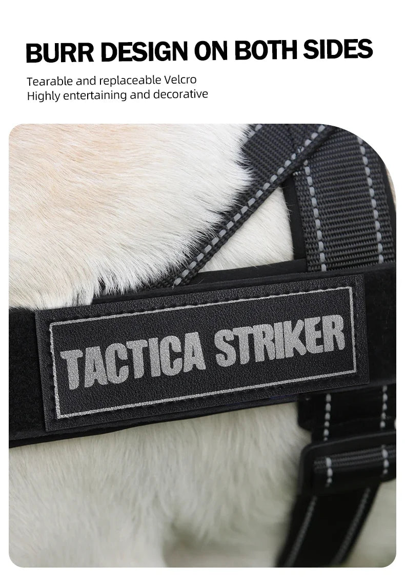 Harnais Gilet de Selle Léger et Réfléchissant pour Chien