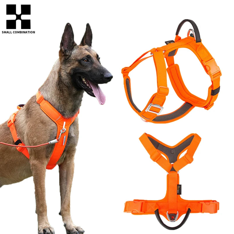 Ensemble Harnais et Laisse Anti-Traction pour Grand Chien