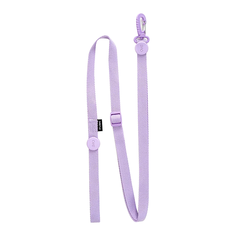 Ensemble Harnais et Laisse Coloré pour Petit Chien - Réfléchissant