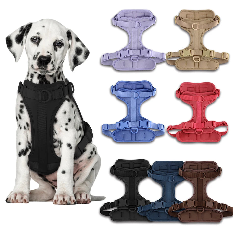 Harnais et Laisse Double en PVC pour Chien - Confortable, Respirant