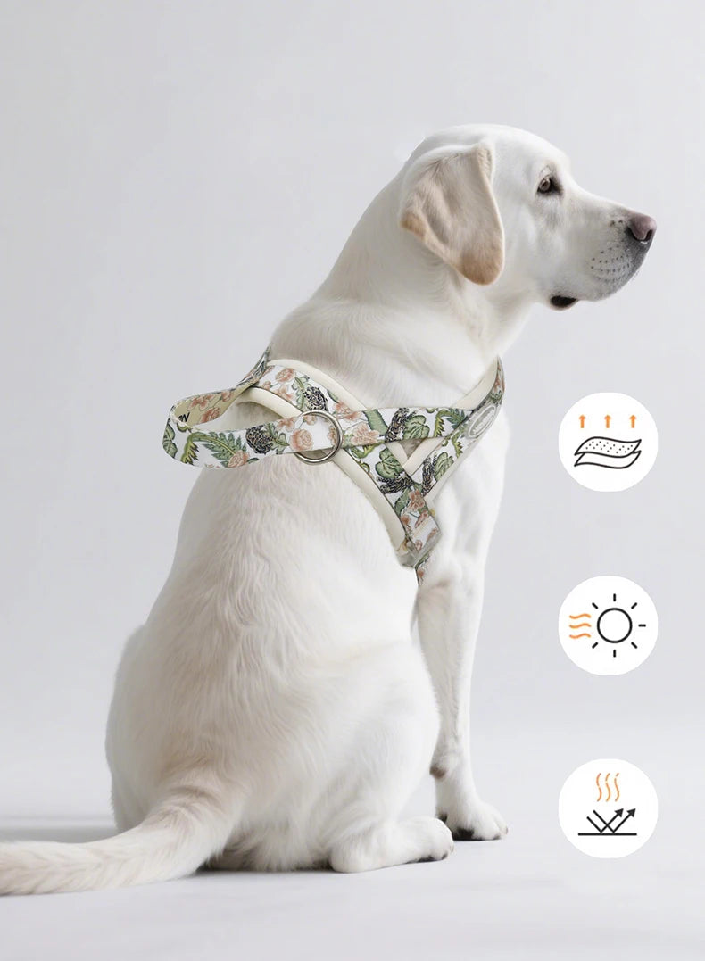 Harnais de Luxe Imprimé Rembourré pour Grand Chien - Anti-Évasion
