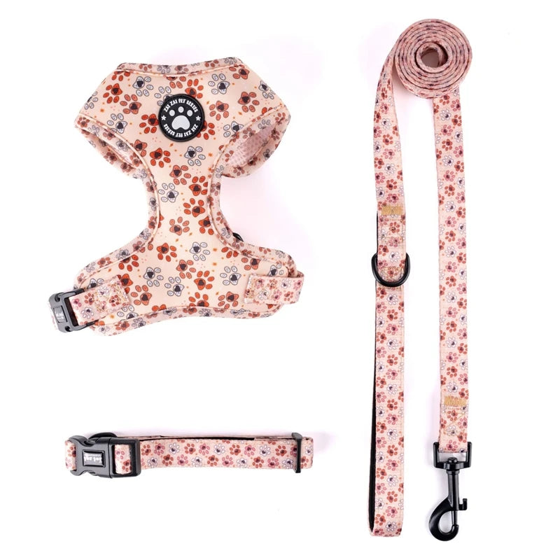 Harnais à Motifs pour Chiot - Doux et Respirant, avec Laisse